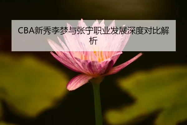 CBA新秀李梦与张宁职业发展深度对比解析